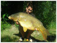 17 Kg - IQBaits Standard dupla fekv Tintahal