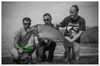 IQBaits dupla Tintahal 15,4kg