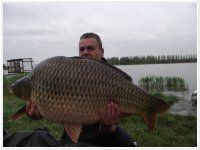 2014.04.15. Merenye, IQ Baits-es dupla 20-as fokhagyma, 21,6kg egyni rekord!